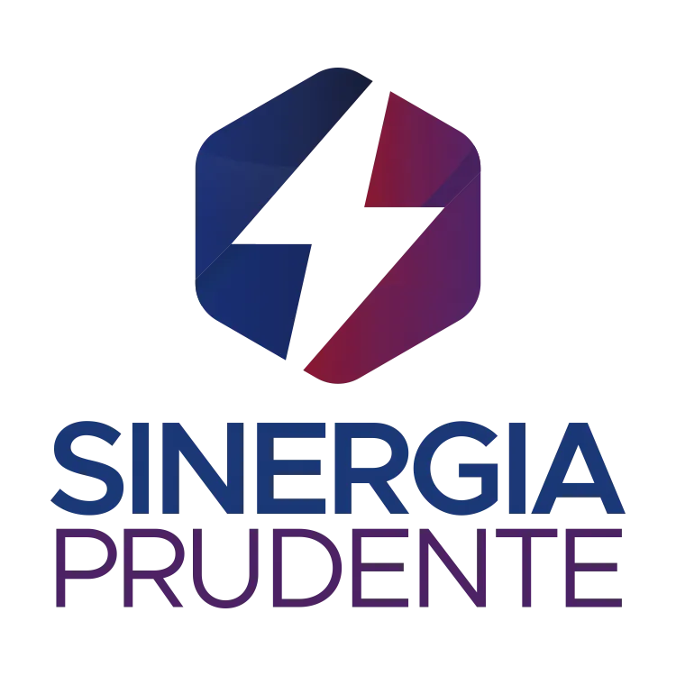 sinergiaprudente.org.br